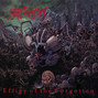 Il testo della Infecting the crypts Suffocation