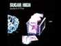 Lyrics of Turbo-teen Sugar High