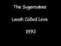 Il testo della Leash called love Sugarcubes