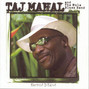 Il testo della The calypsonians Taj Mahal