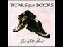 Paroles de Drunken sailor Tears For Beers