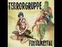 Il testo della Pogotopia Terrorgruppe