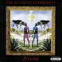 Il testo della Arena The Accident Experiment