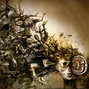 Il testo della Revenge of the dadaists The Agonist