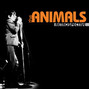 Lyrics of Anything The Animals