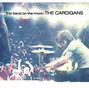 Il testo della Great divide The Cardigans