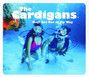 Il testo della The boys are back in town The Cardigans
