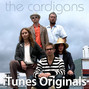 Il testo della Tomorrow The Cardigans
