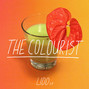 Il testo della Yes yes The Colourist