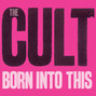 Paroles de Diamonds The Cult