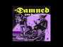 Il testo della Would you be so hot (if you weren't dead) The Damned