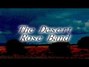 Il testo della He's back and i'm blue The Desert Rose Band