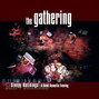 Il testo della Amity The Gathering