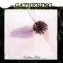 Il testo della The may song The Gathering