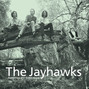 Il testo della Blue The Jayhawks