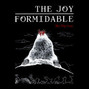 Il testo della Anemone The Joy Formidable