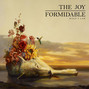 Il testo della Little blimp The Joy Formidable
