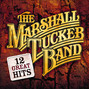 Il testo della Driving you out of my mind The Marshall Tucker Band
