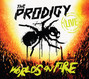 Il testo della Everybody in the place The Prodigy
