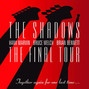Il testo della Don't cry for me argentina The Shadows
