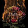 Il testo della The house we live in The Stills