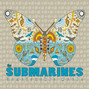 Il testo della You, me and the bourgeoisie The Submarines