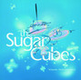 Il testo della Walkabout The Sugarcubes