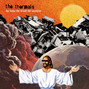 Il testo della Returning to the fold The Thermals