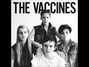 Il testo della Teenage icon (live in brighton) The Vaccines