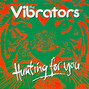Il testo della Hunting for you The Vibrators