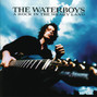 Il testo della Malediction The Waterboys