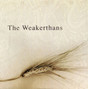 Il testo della Fallow The Weakerthans