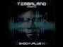 Il testo della Lose control Timbaland
