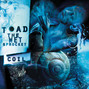 Il testo della Desire Toad The Wet Sprocket