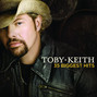 Lyrics of Get drunk and be somebody Toby Keith