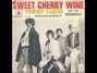 Il testo della Sweet cherry wine Tommy James And The Shondells