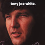 Il testo della The change Tony Joe White