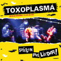 Lyrics of Heilig Toxoplasma