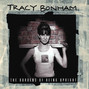 Il testo della Tell it to the sky Tracy Bonham
