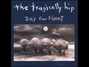 Il testo della Greasy jungle Tragically Hip