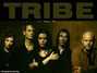 Il testo della Outside Tribe
