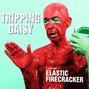Il testo della Raindrop Tripping Daisy