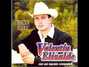 Lyrics of Amame Valentin Elizalde