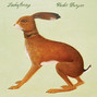 Il testo della If i were Vashti Bunyan