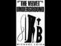 Il testo della Sheltered life Velvet Underground