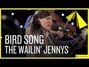 Lyrics of Bird song Wailin' Jennys