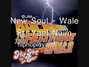 Il testo della New soul Wale