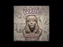 Il testo della Vanity [explicit] Wale