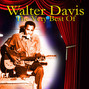 Lyrics of Worried man blues Walter Davis