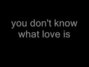 Lyrics of You don't know what love is Warren Zevon